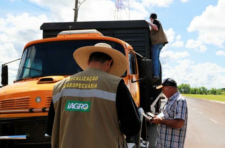 Imagem de compartilhamento para o artigo MS terá concurso para área de fiscalização e defesa sanitária na Iagro da MS Todo dia